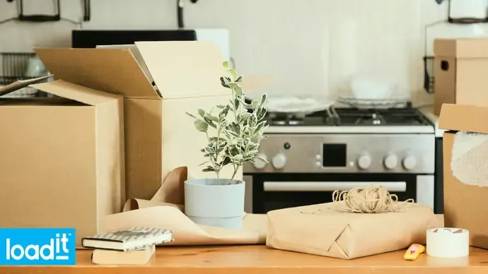Junk Removal Boxes
